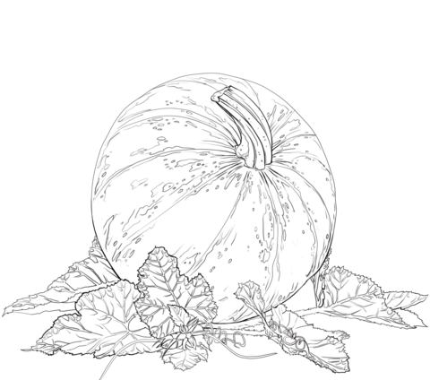 Pumpkin with Leaves Coloring Page