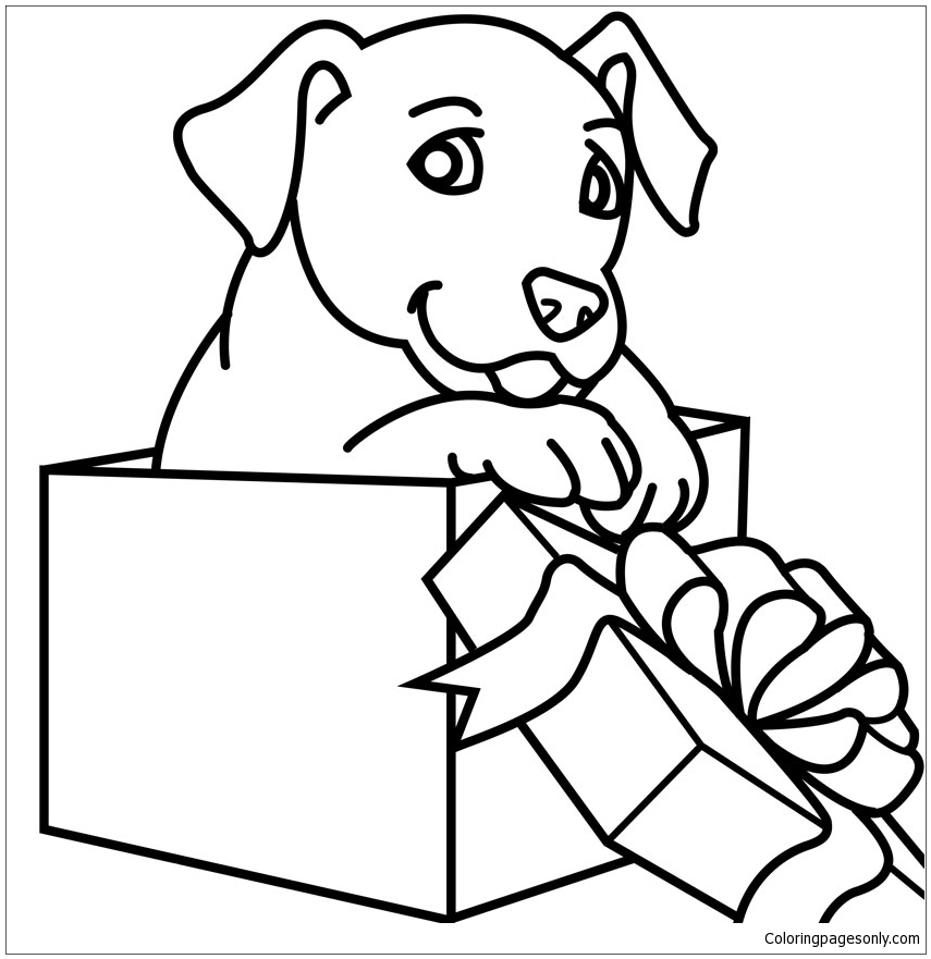 Puppy Gift Coloring Page