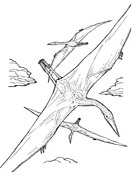 Quetzalcoatlus Pterosaur Coloring Pages