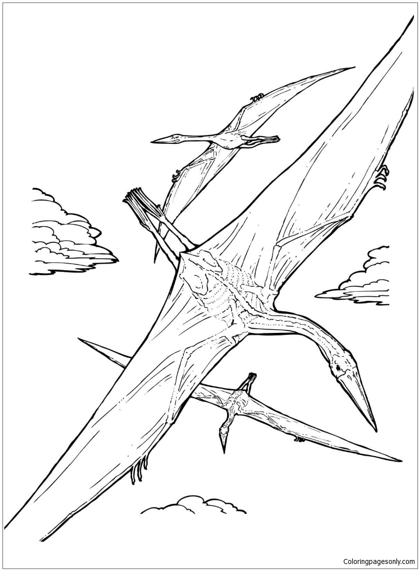 Quetzalcoatlus Ptérosaure de Ptérodactyle