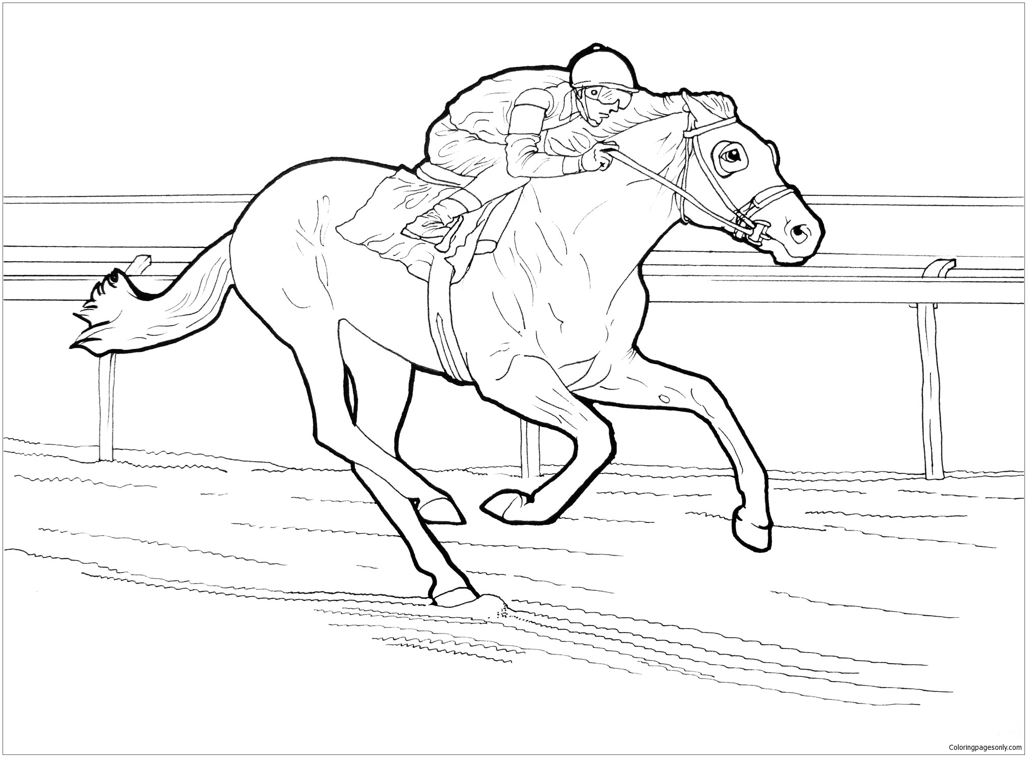 Chevaux de course de Horse
