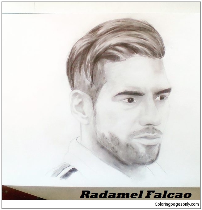 Radamel Falcao-imagen 2 de Radamel Falcao