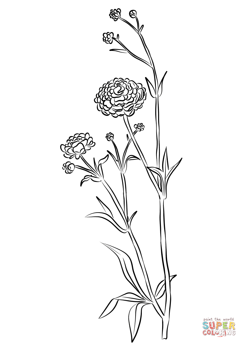 Лютик из цветка лютика