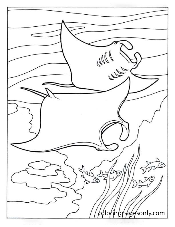 desenho de Ray peixe nada sob o oceano para colorir
