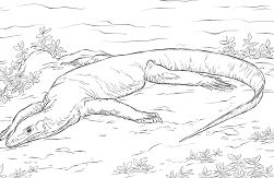 Realistic Monitor Lizard Coloring Pages