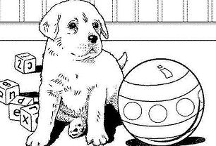 Realistic Puppy Coloring Pages