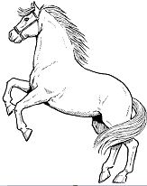 Rearing Horse Coloring Page