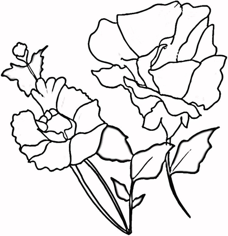 Red Poppies Coloring Pages