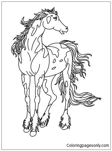 Дикая лошадь 3 из «Лошади»
