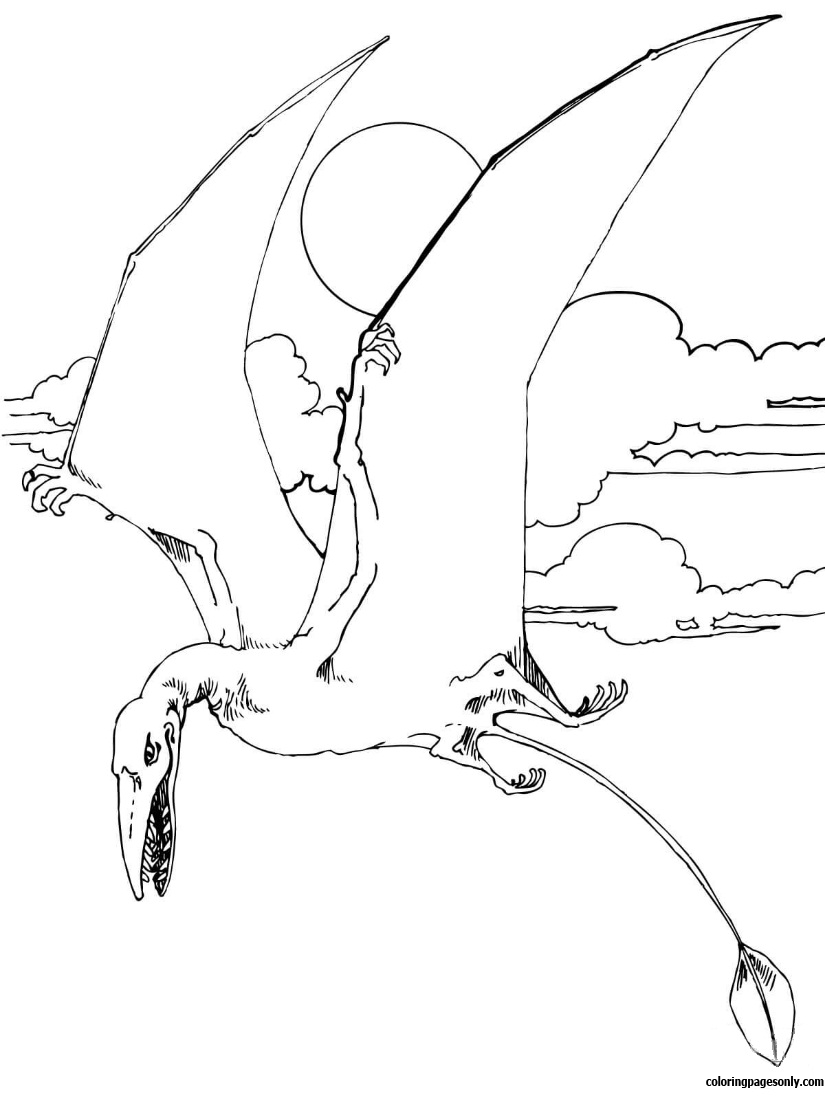 Rhamphorhynchus Jura-Flugsaurier vom Pterodaktylus