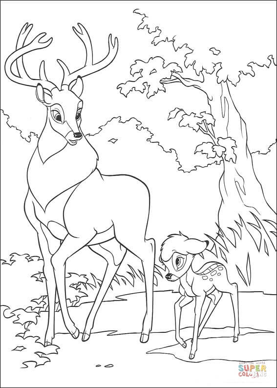 Capriolo e Bambi camminano insieme da Bambi da Bambi