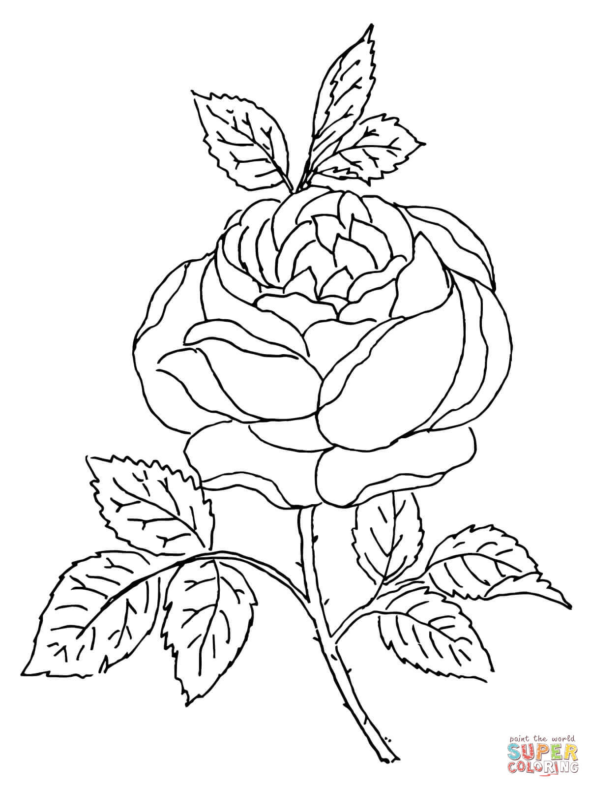 Rose Blossom Coloring Page