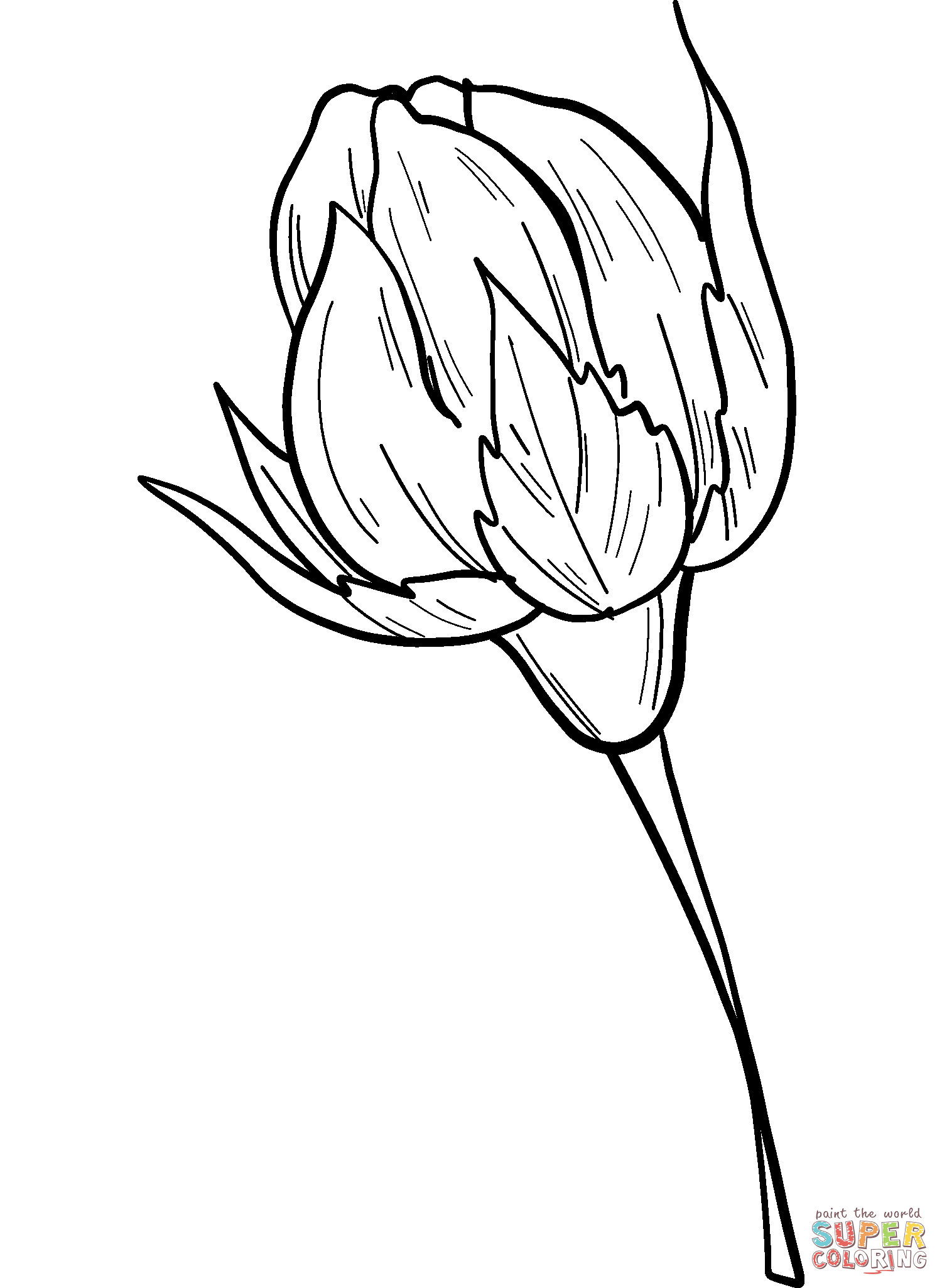 Rose Bud Coloring Pages
