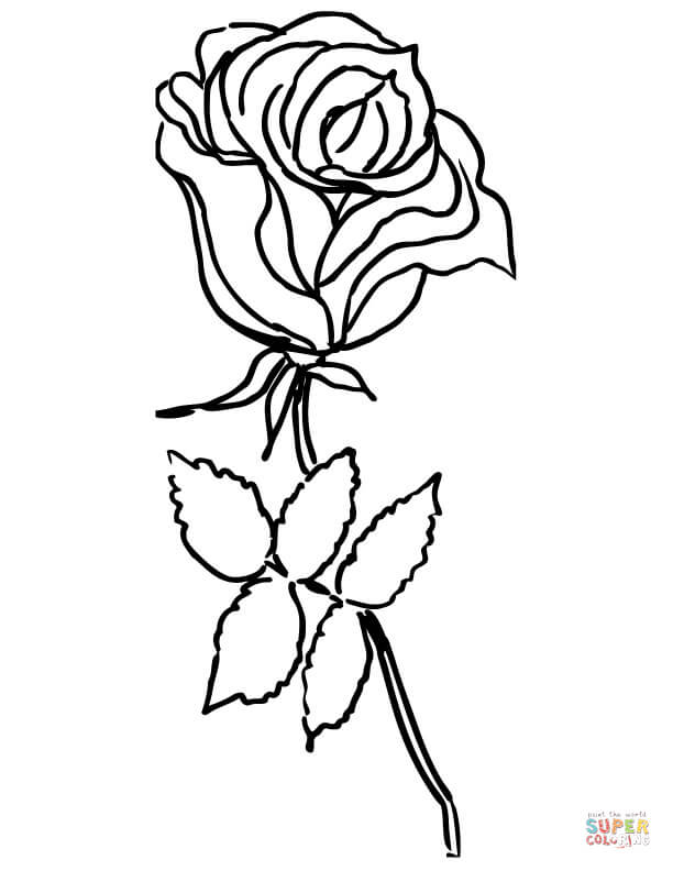 Цветок розы из роз