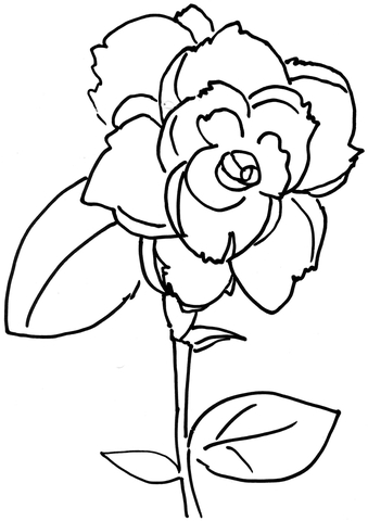 Rose Flower Coloring Pages