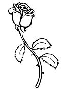 Rose Blume Malvorlagen