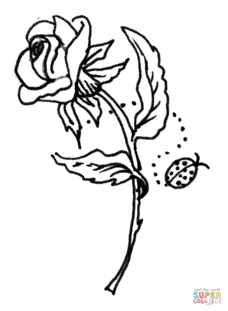 Rose With A Ladybird Coloring Pages