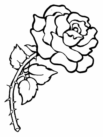 Rose with Thorns Coloring Page