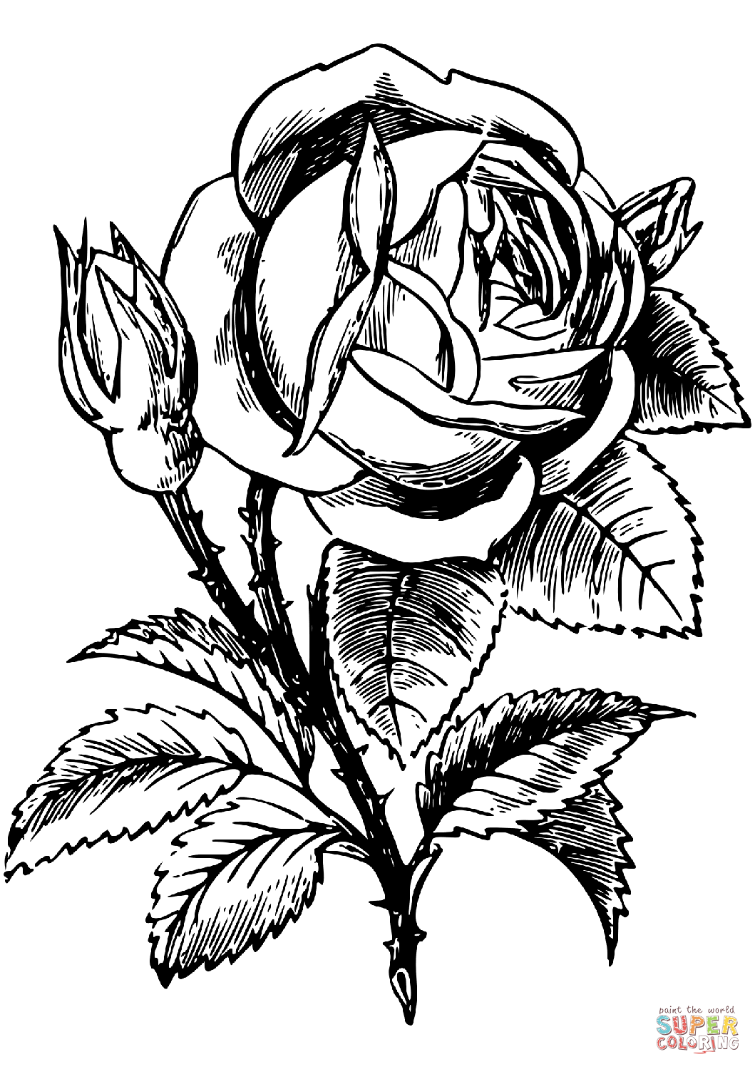 Роза из роз