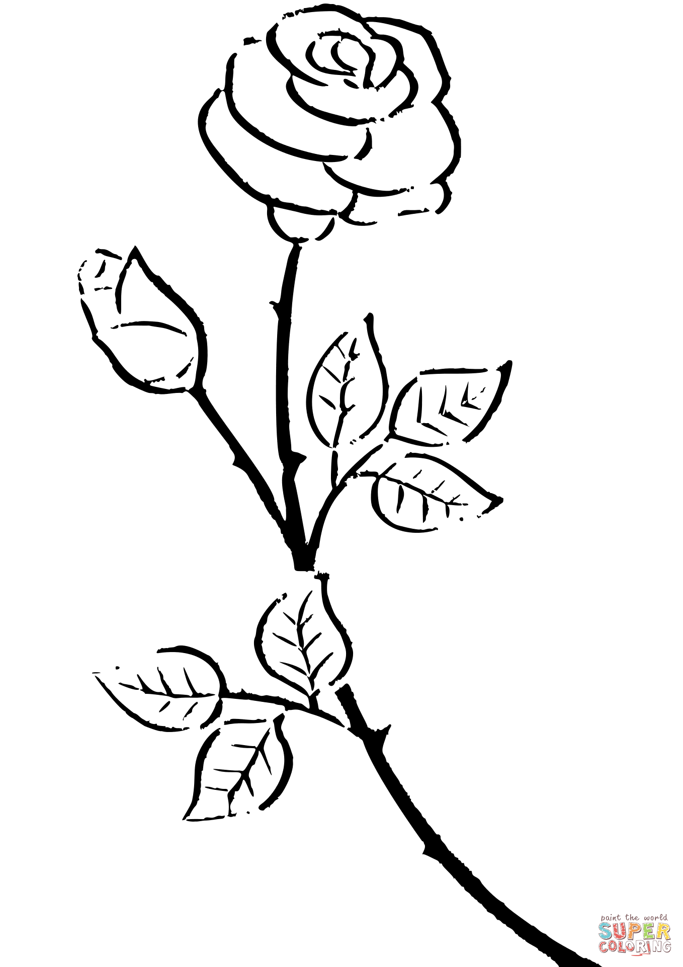 Rosa de rosas
