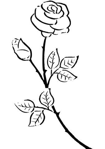 Rose Coloring Pages