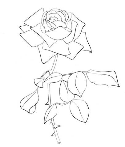 Rose Coloring Pages