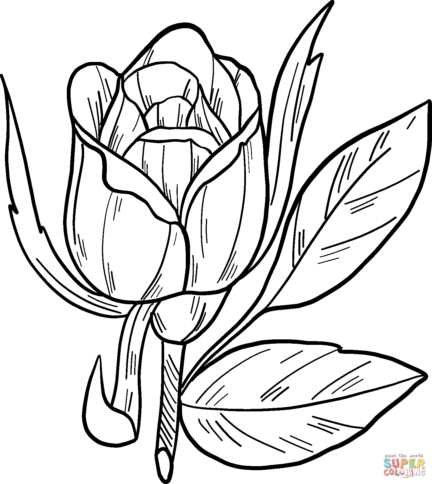 Rose Coloring Pages