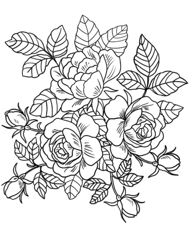 Roses Flowers Coloring Page