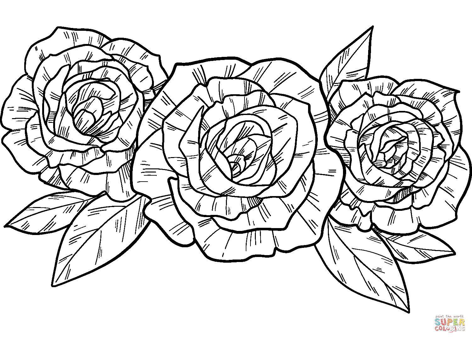 Des roses de roses