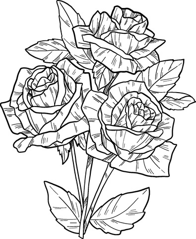 roses coloring pages coloring pages for kids and adults