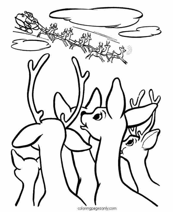 Rudolph la renna dal naso rosso – Pagina da colorare di Rudolph il leader