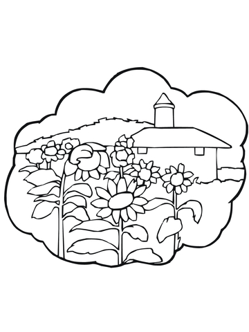 Rural Landscape with Sunflowers Coloring Pages