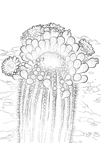 Pagina da colorare di fiori di cactus Saguaro