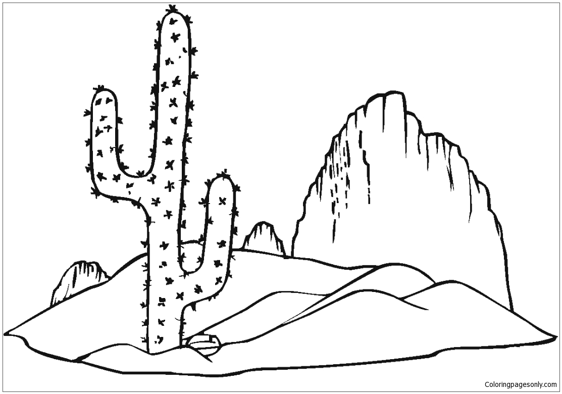 Кактус Сагуаро из пустыни