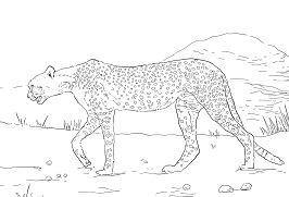 Download Sahara Desert Coloring Pages - Nature & Seasons Coloring Pages - Coloring Pages For Kids And Adults