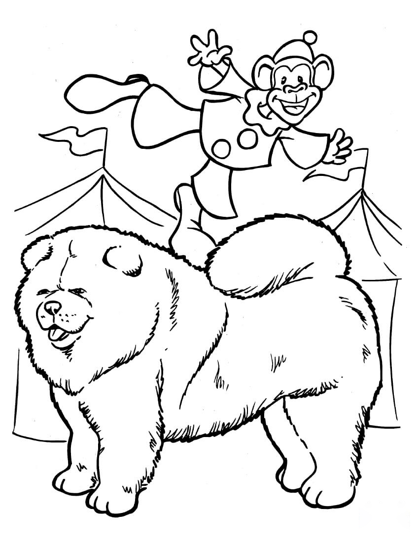 Samoyed With Monkey Clown Coloring Pages