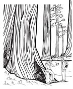 Santa Cruz Mountains Coloring Pages
