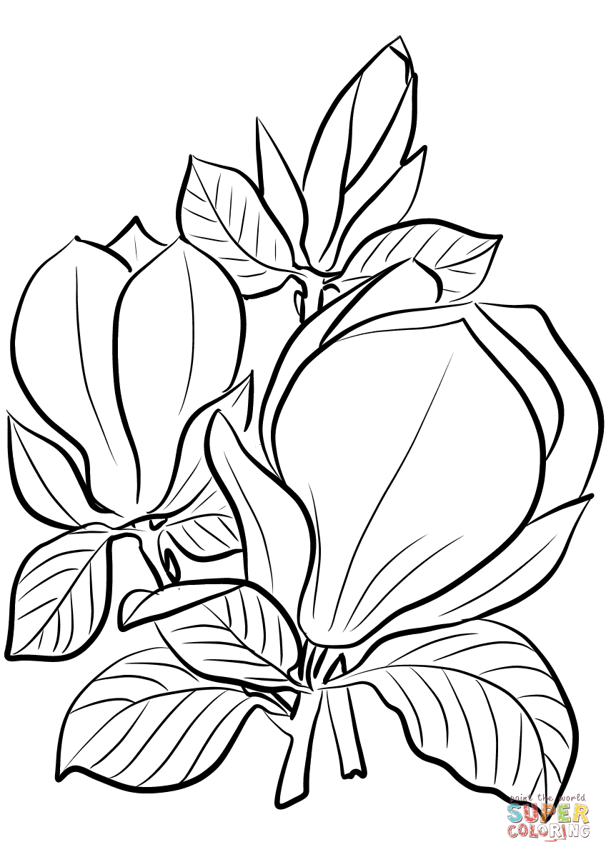 Platillo Magnolia de Magnolia