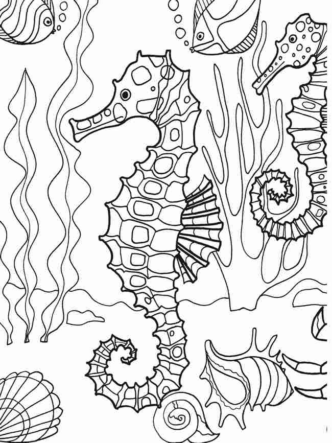 seahorses under ocean details coloring pages nature seasons coloring pages coloring pages for kids and adults