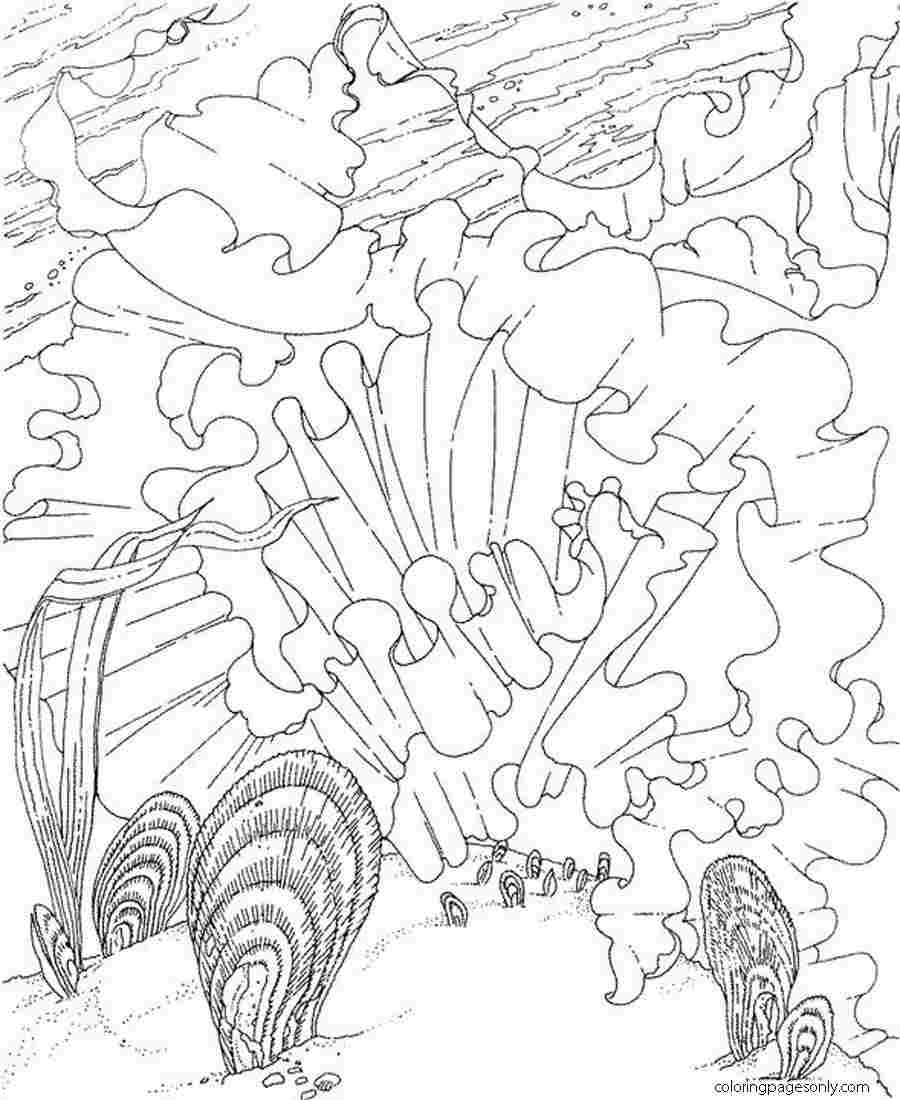 Seaweed and scallops under the ocean Coloring Page