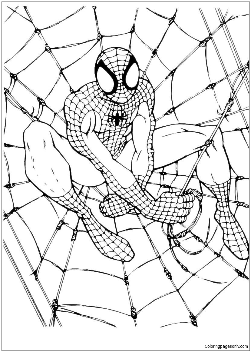 Disegni da colorare di sicurezza Spiderman