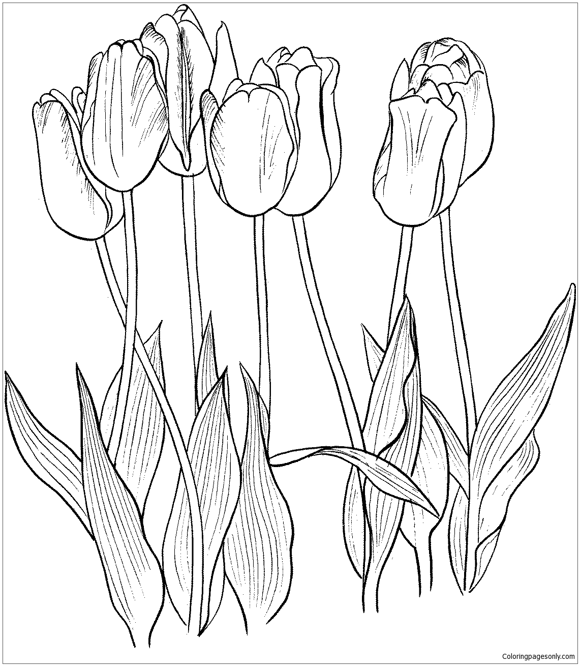 Siete tulipanes Página para colorear