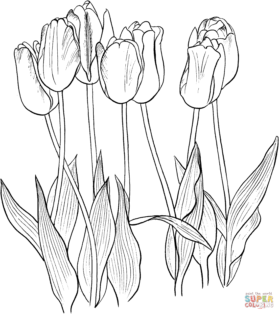 Sieben Tulpen von Tulip