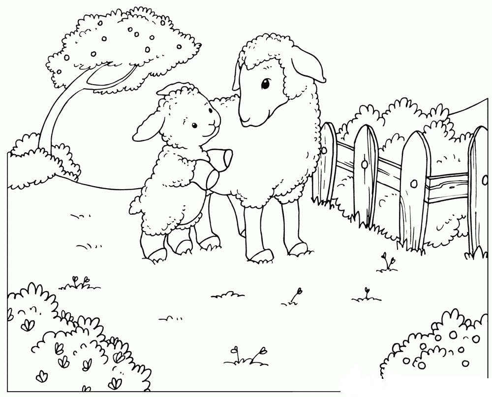 Sheep And Lamb In The Spring Coloring Pages
