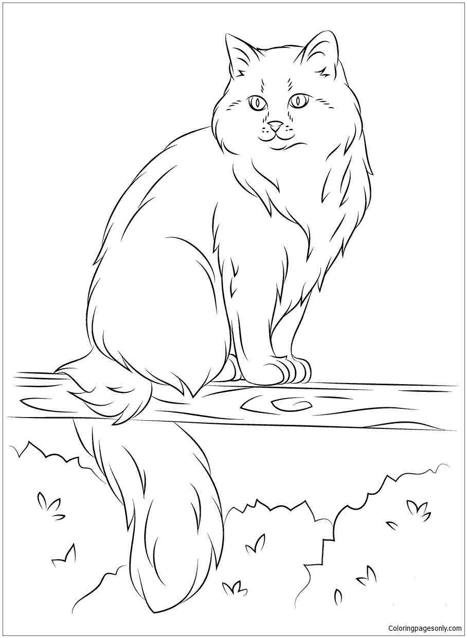 Siberian Cat Sits on a Tree Coloring Pages - Cat Coloring ...