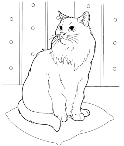 Download Sphynx Cat Coloring Page - Free Coloring Pages Online