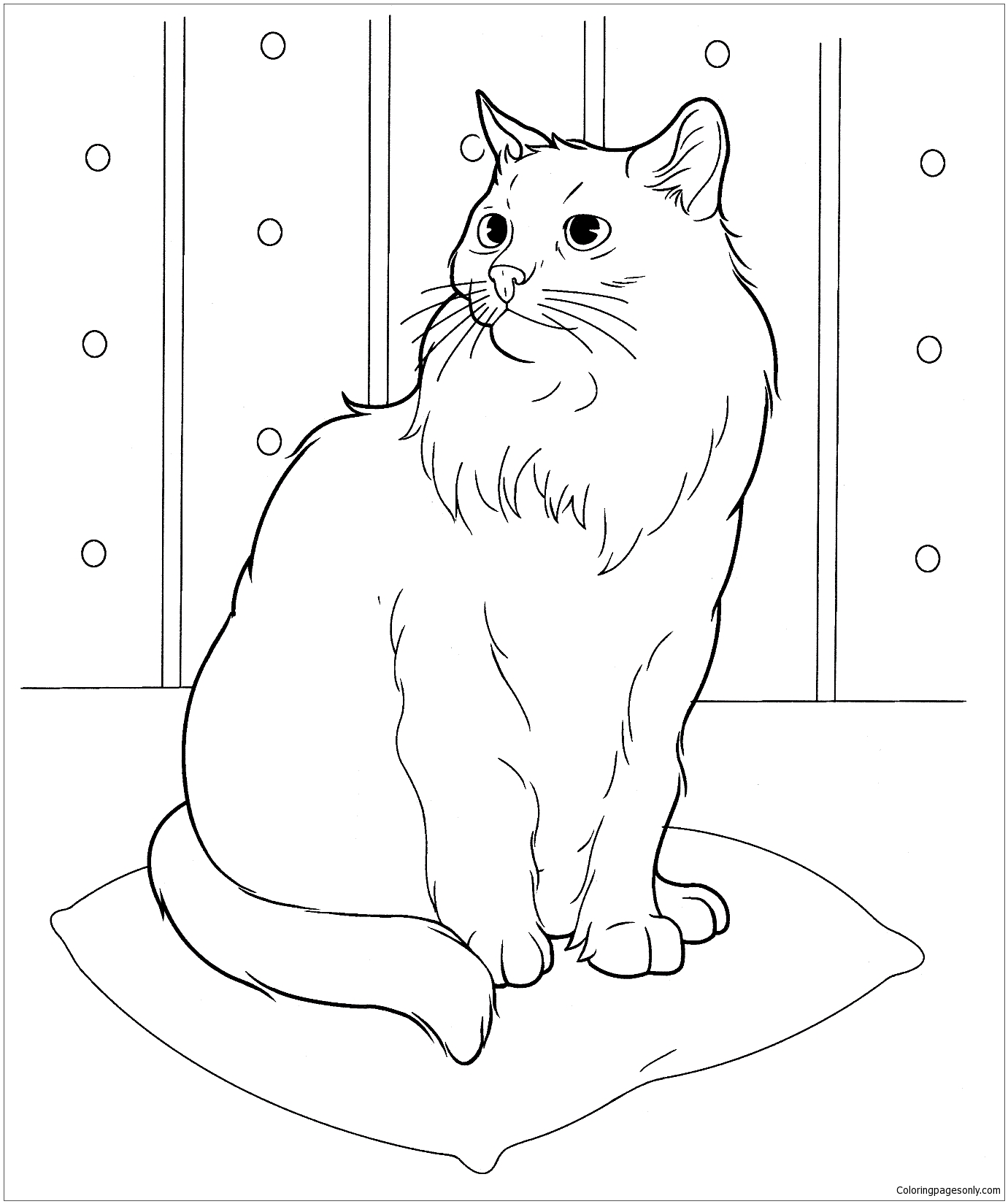 Siberian Cat Coloring Page