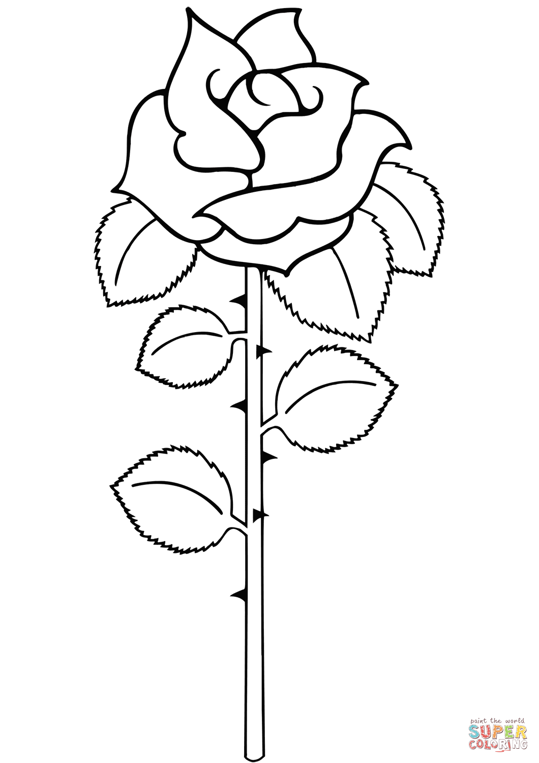 Rosa simple de rosas