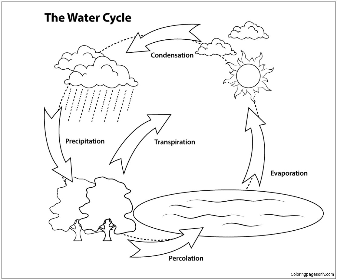 Ciclo simple del agua a partir de fenómenos naturales.