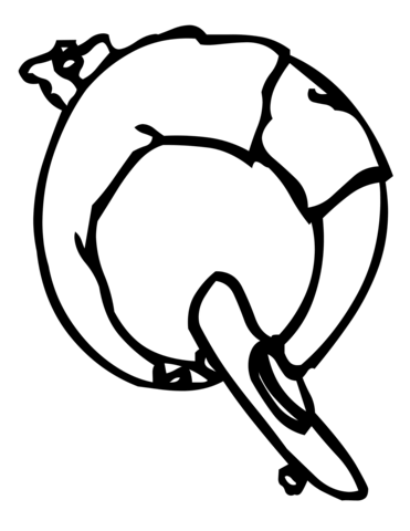 Skateboard Letter Q Coloring Page